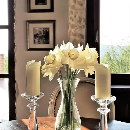 Panoramic Stone - Slow Living In The Piedmontese Hazelnut Hills *
