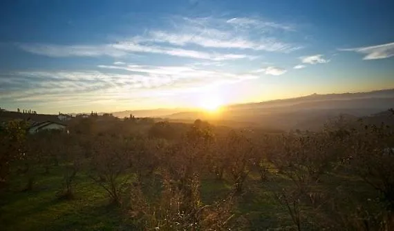 بيت للعطل Panoramic Stone - Slow Living In The Piedmontese Hazelnut Hills *